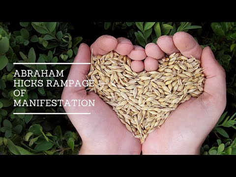 Abraham Hicks Rampage of Manifestation