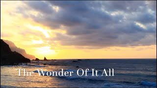 075 SDA Hymn - The Wonder of It All (Singing w/ Lyrics)