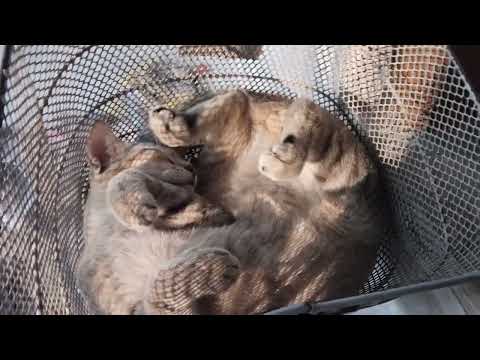 Good morning have a nice day 😊