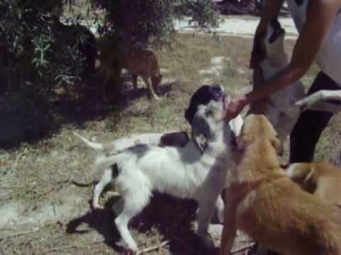 BURHAN 19 JUNIO 13 005