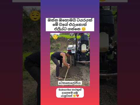 මොල ගෙනාපු නැව් 😊 මරු අදහස Sinhala funny meme 😂 #shorts #funny #comedy #trending #viral #sinhala