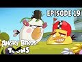 Angry Birds Toons Slow The Chuck Down S2 Ep19