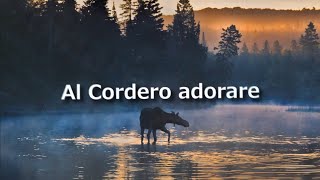 Por Las Llagas De Jesús - Marcela Gandara | Vino Nuevo [Con Letras]