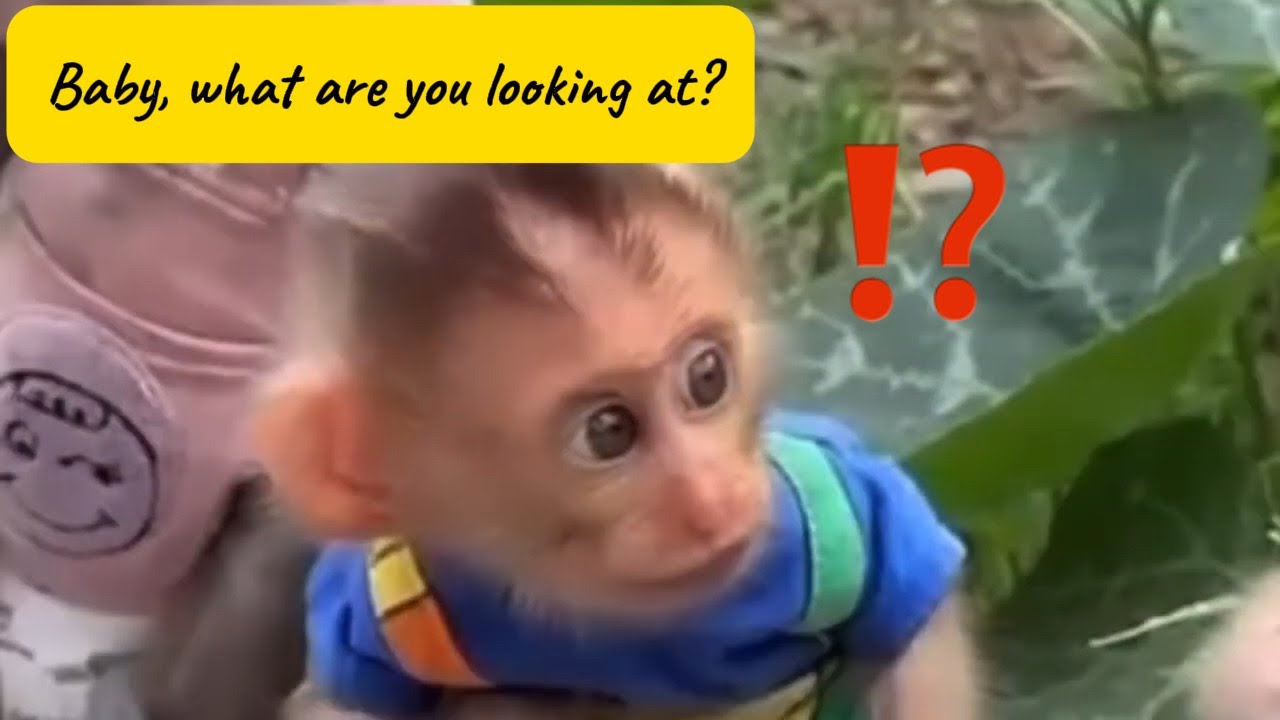 What is at the end of that gaze?