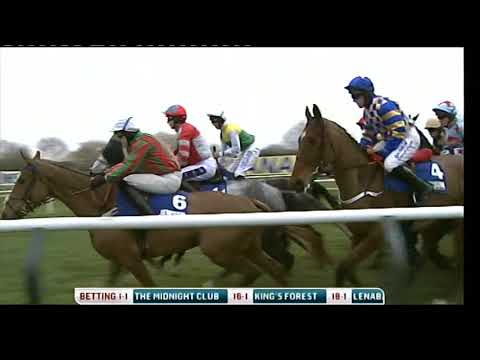 2010 Jewson Novice Handicap Chase - Cheltenham Festival