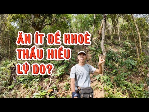 #27 ĂN ÍT ĐỂ KHOẺ MẠNH THẤU HIỂU LỢI ÍCH CỦA VIỆC ĂN ÍT