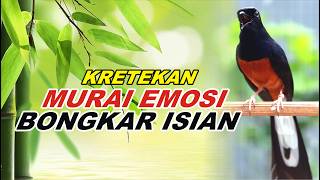 Download lagu Kretekan Emosi Pancingan Murai Batu Full Isian Tembakan, Ampuh Buat Murai batu bongkar isian mp3