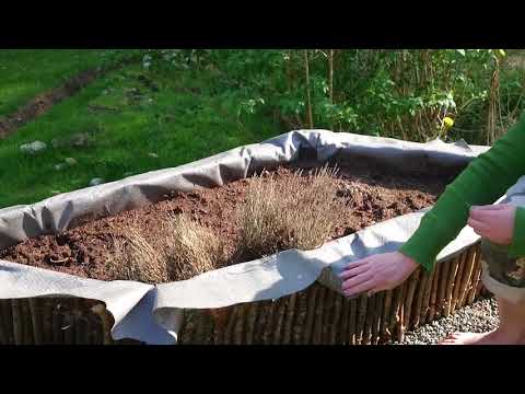 Pallkrageodling med snigelkant