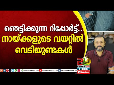 ഞെട്ടിക്കുന്ന റിപ്പോർട്ട്..നായ്ക്കളുടെ വയറ്റിൽ വെടിയുണ്ടകൾ|kerala dog|CPM|CPI|LDF|BJP|Bharath Live