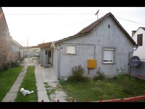 download lagu mp3 mp4 Aleksandar Prijovic Biografija, download lagu Aleksandar Prijovic Biografija gratis, unduh video klip Aleksandar Prijovic Biografija