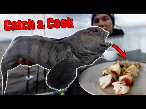 SO fängst du SEEWOLF (Steinbeisser) in Norwegen🙌🏽 // Catch, Clean, Cook