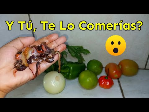 Prepara Coctel De Conchas Negras | Mariscos Del Mar