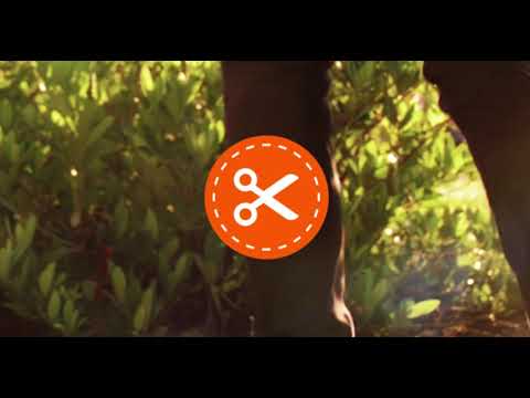 Compress Video: Video Cutter - Audio Extractor Video