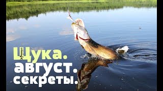 Ссылка
