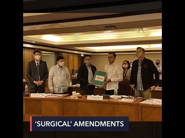 DILG gives House panel over 555,000 signatures backing ‘surgical’ amendments to Constitution