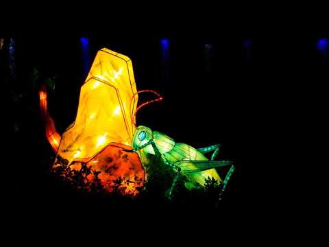 Traditional Chinese Music Instrumental | Hulusi Flute | The best melody of hulusi