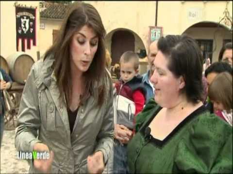 ELISA ISOARDI-LINEA VERDE FRIULI 08/05/2011