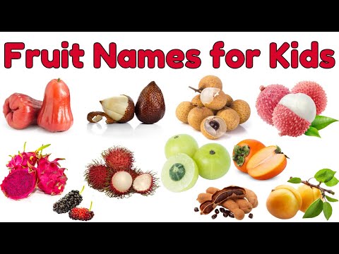 Fruits Vocabulary for Kids | Educational Fruit Learning Video | Fruit Names with Pictures for Kids