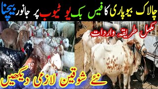 How To Sale Animals On Facebook YouTube And Any Janwar Mandi || Global Village Farming