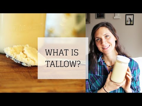 What is Tallow Oil & the Benefits of Tallow Oil