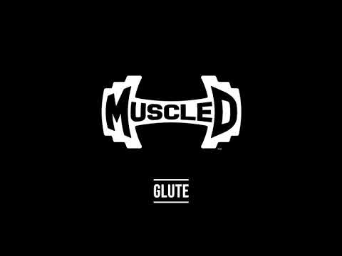 Muscle D Fitness Elite Line Glute Machine