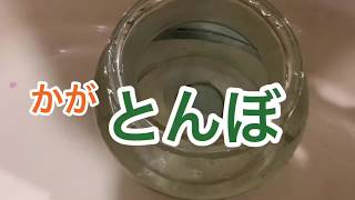 瓶に入れろ！1円玉