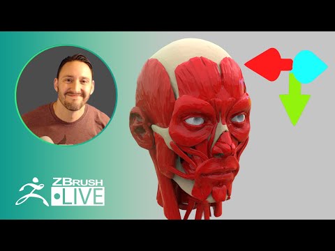 Pavlovich Workshop: Anatomy, ZBrush 2020 Features, & More - Michael Pavlovich