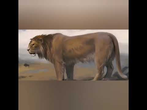 The amazing story of the Turkish wolfhound Kangal #turkishkangal