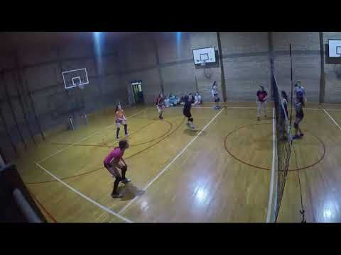 Pionirke OK Novi Beograd