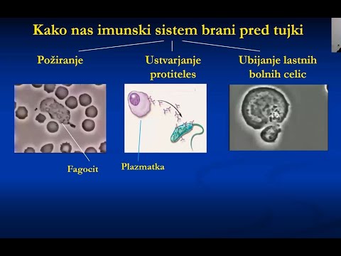 Klen imunski sistem - Predavanje Dr.Iztoka Ostana (20.1.2022)