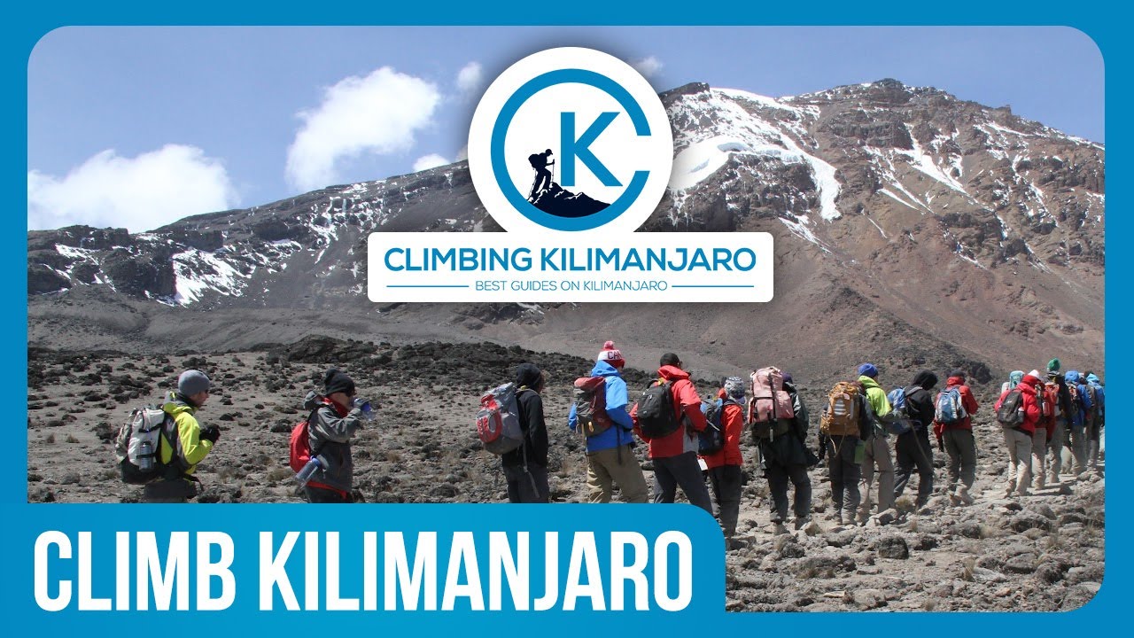 Climbing Kilimanjaro with our team