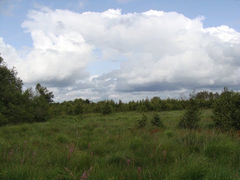 WWFF ONFF-0001  HAUTES FAGNES NATIONAL PARK
