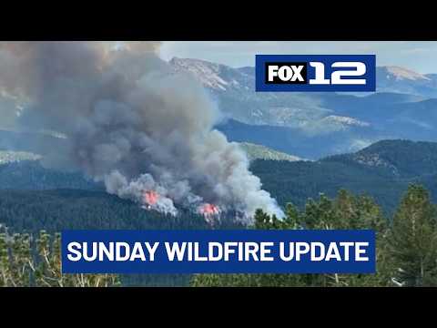 Wildfire Oregon Map