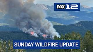 Oregon wildfire update: Austin Fire on Mt. Hood & new fires in Baker County