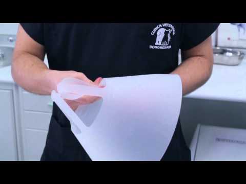 IL COLLARE ELISABETTA - clinica veterinaria borghesiana - Roma