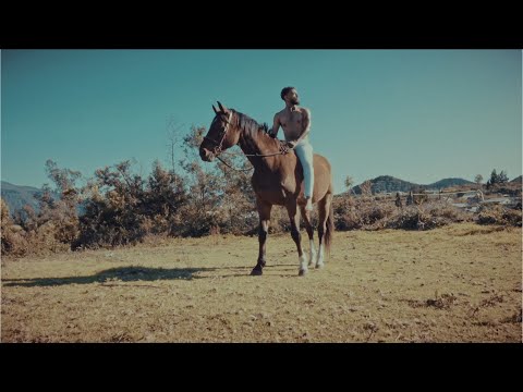 Wizdom - Papangue (Prod by @st-prd )