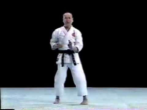 Tensho Karate Do Shito Ryu Kata & Bunkai