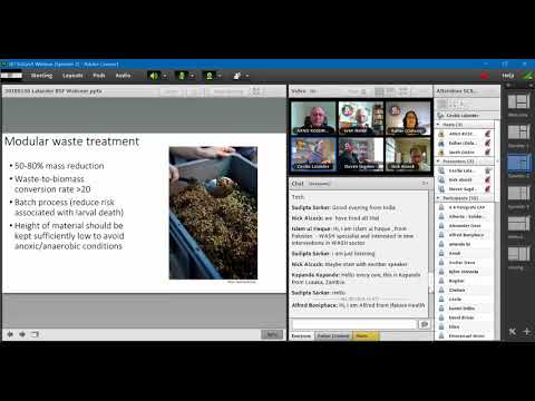 Webinar 17 Jan 30 2018. Black Solider Fly Larvae for Faecal Sludge treatment
