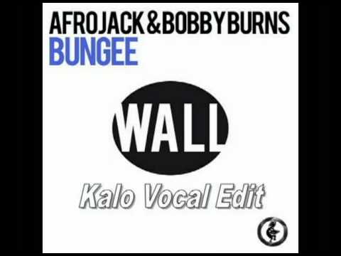 Afrojack, Bobby Burns VS Soulsearcher - Can't Get Enough of Bungee (Kalo Vocal Edit)