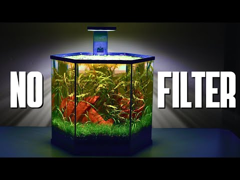 The Broken Terra Cotta Pot Shrimp Tank 