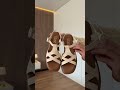 Сорочка жіноча 595526 Жовта Відео