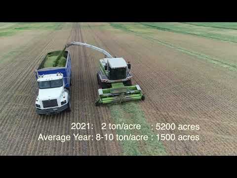 Drought in Saskatchewan - 2021