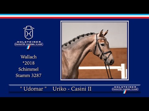 Holsteiner Elite-Reitpferde 2021 | Nr. 139 Udomar