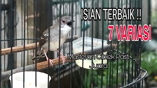 Download lagu CIBLEK KRISTAL GACOR 7 VARIASI || 1 JAM NONSTOP UNTUK PANCINGAN DAN MASTERAN CIBLEK mp3