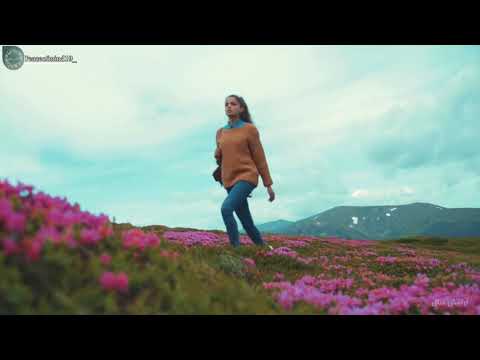 Max Oazo & Camishe,Can't Get You Out Of My Head (The Distance & Igi Remix)