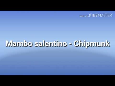 MAMBO SALENTINO CHIPMUNKS
