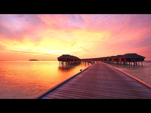 8 Hour Relaxing Sleep Music, Calm Music, Soft Music, Instrumental Music, Sleep Meditation, ☯2994