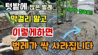 텃밭에 그많은 벌레 이렇게하면 벌레 싹 사라집니다 페트병만 올려놓으세요 해충퇴치방법