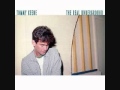 Tommy Keene / "Sleeping On A Rollercoaster"