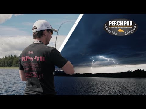 Topwater Escalation in Bass Fishing: Training for the Perch Pro 7!